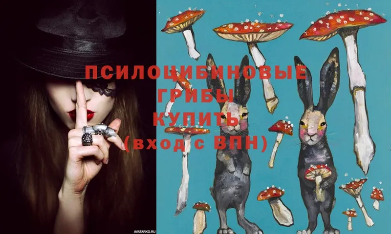 Псилоцибиновые грибы MAGIC MUSHROOMS  kraken   Сим 